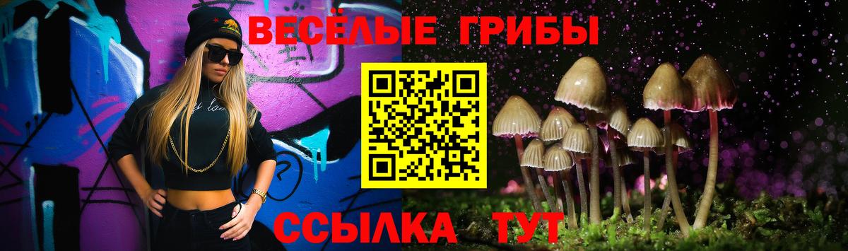 Углич  Галлюциногенные грибы Psilocybine cubensis  Вход с VPN 